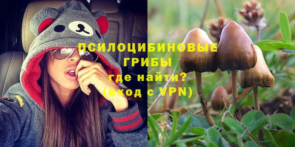 гашик Абинск