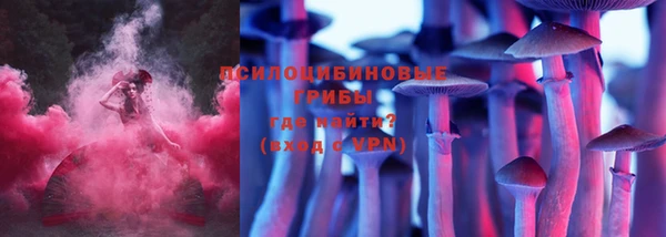 ГАЛЛЮЦИНОГЕННЫЕ ГРИБЫ Абдулино