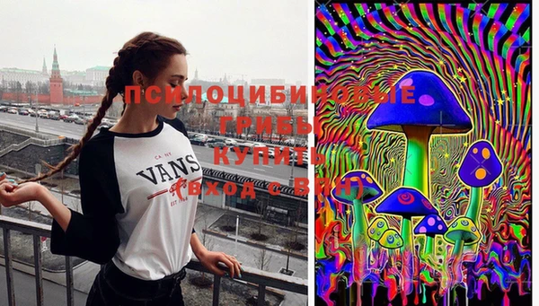 МДПВ Алексеевка