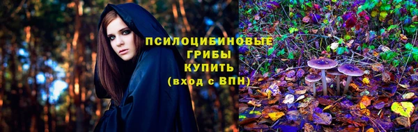 ешки Алексин