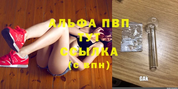 прущие крисы Абаза