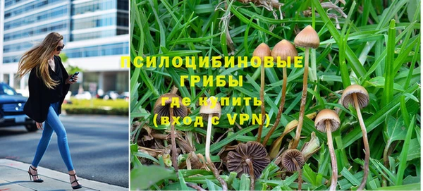 ГАЛЛЮЦИНОГЕННЫЕ ГРИБЫ Абдулино